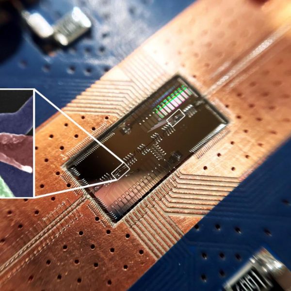 Researchers at Princeton University have made an important step forward in the quest to build a quantum computer using silicon components, which are prized for their low cost and versatility compared to the hardware in today's quantum computers. The team showed that a silicon-spin quantum bit (shown in the box) can communicate with another quantum bit located a significant distance away on a computer chip. The feat could enable connections between multiple quantum bits to perform complex calculations. CREDIT: Felix Borjans, Princeton University